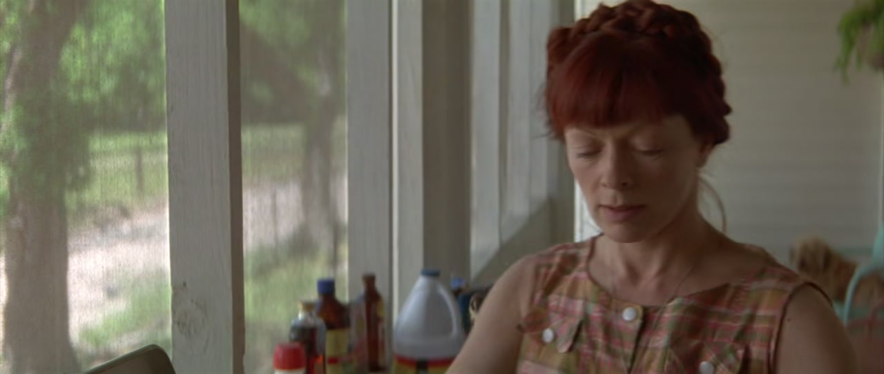 Wild America Screenshot