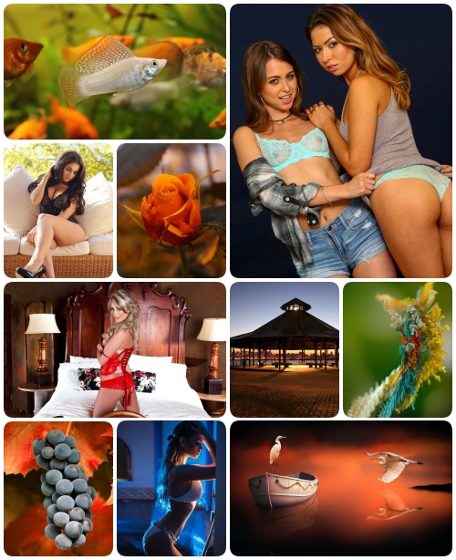 Mix Beautiful Wallpapers Best Collection pack 106