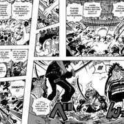 one-piece-987-7