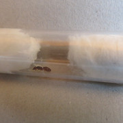 IMG-1237