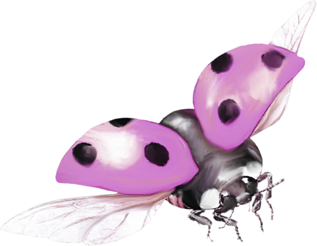 Early-Spring-Kit-41.png