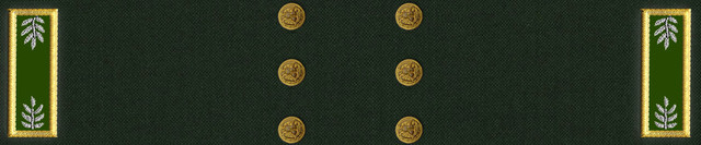 Lt Colonel