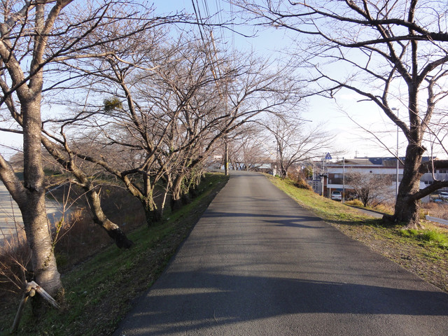 2011-03-05-005