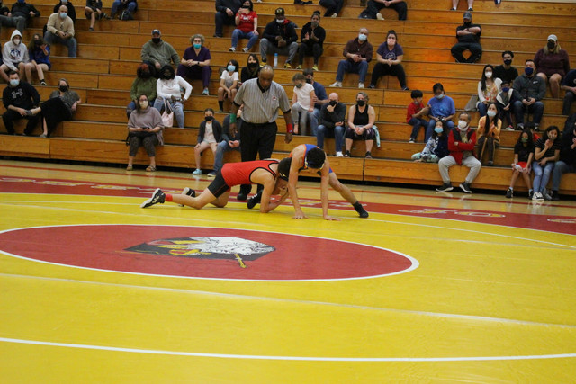 IMG-0284