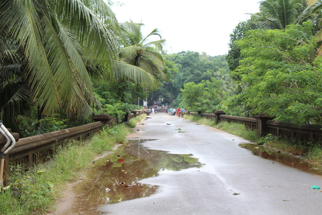 IMG 0565.jpg