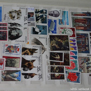 IMG-2554