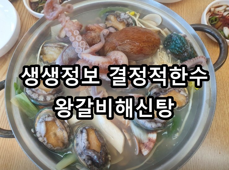 생생정보 결정적한수 왕갈비해신탕 대표 이미지