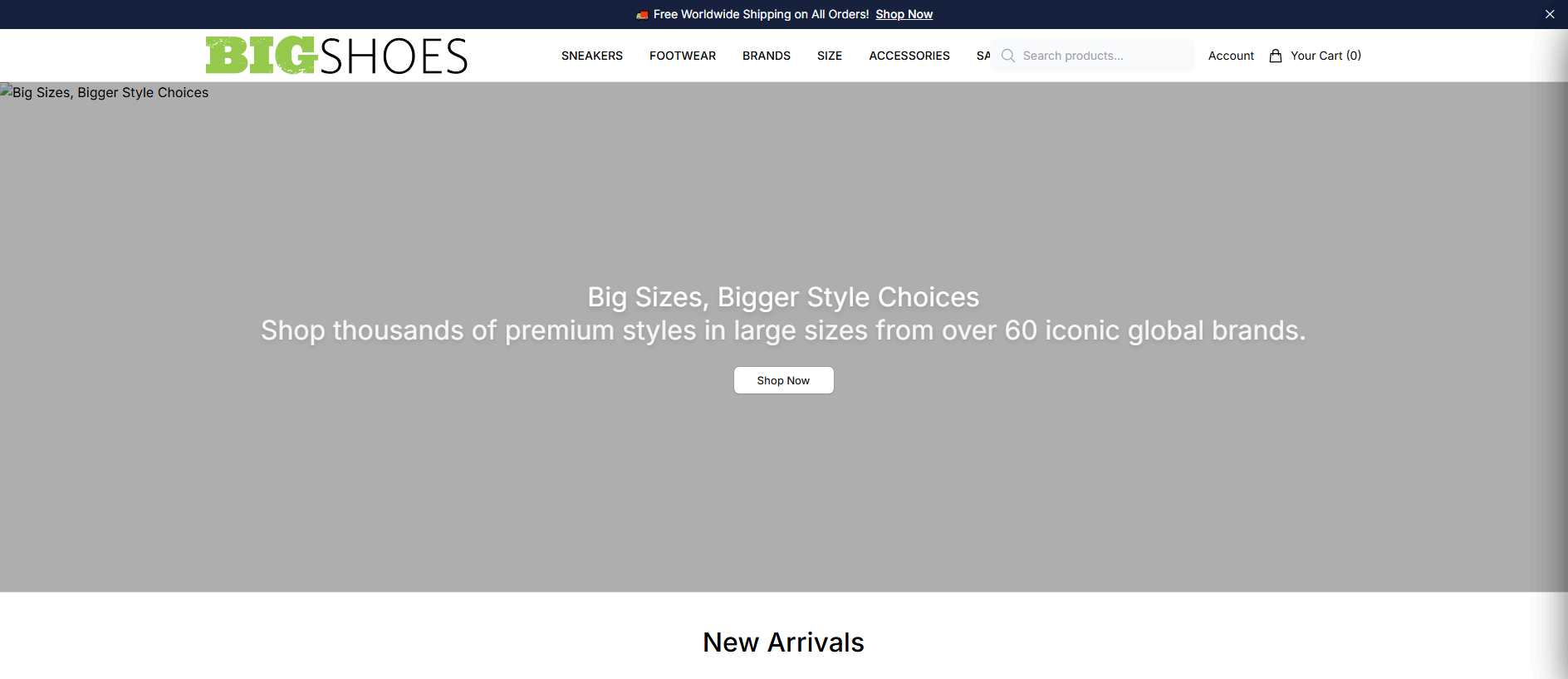 Primary capture · bigshoesfashion.shop