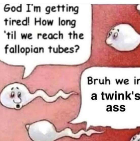 meme.jpg