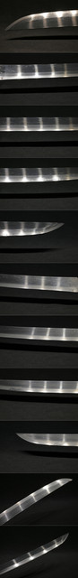 DSC8709.jpg