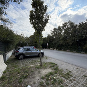 IMG-1241