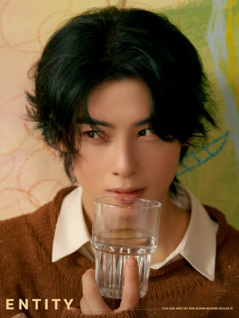 cha eun woo 1314984