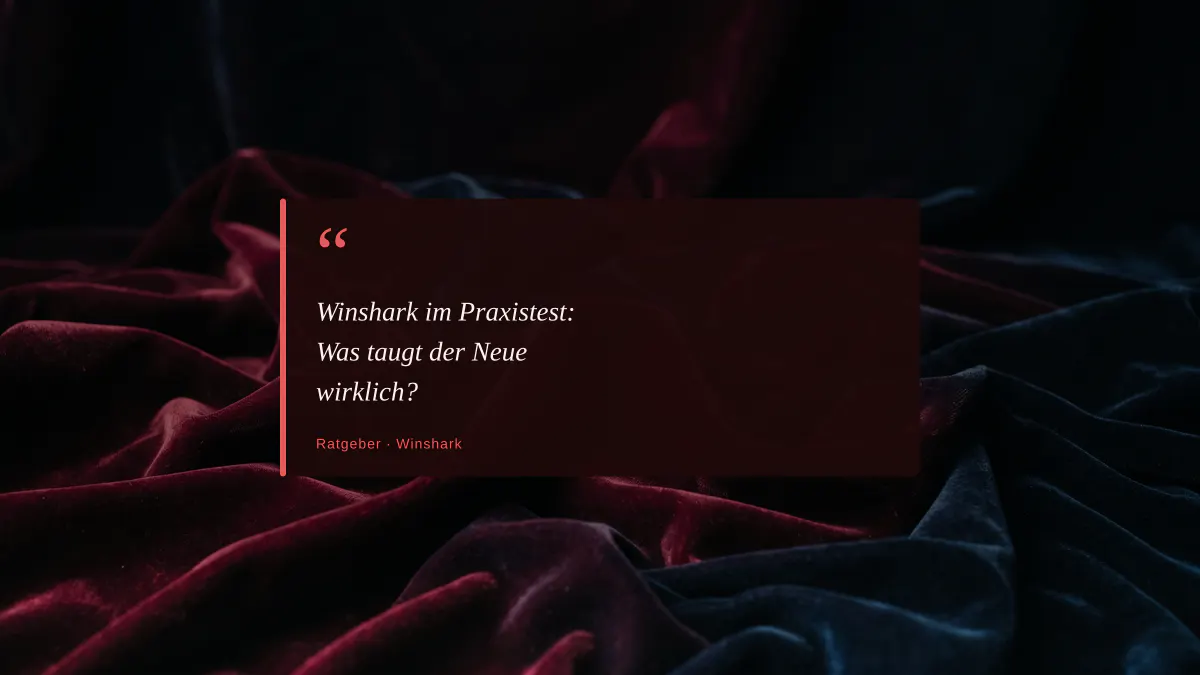 Winshark im Praxistest: Was taugt der Neue wirklich?