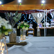 DSC0604