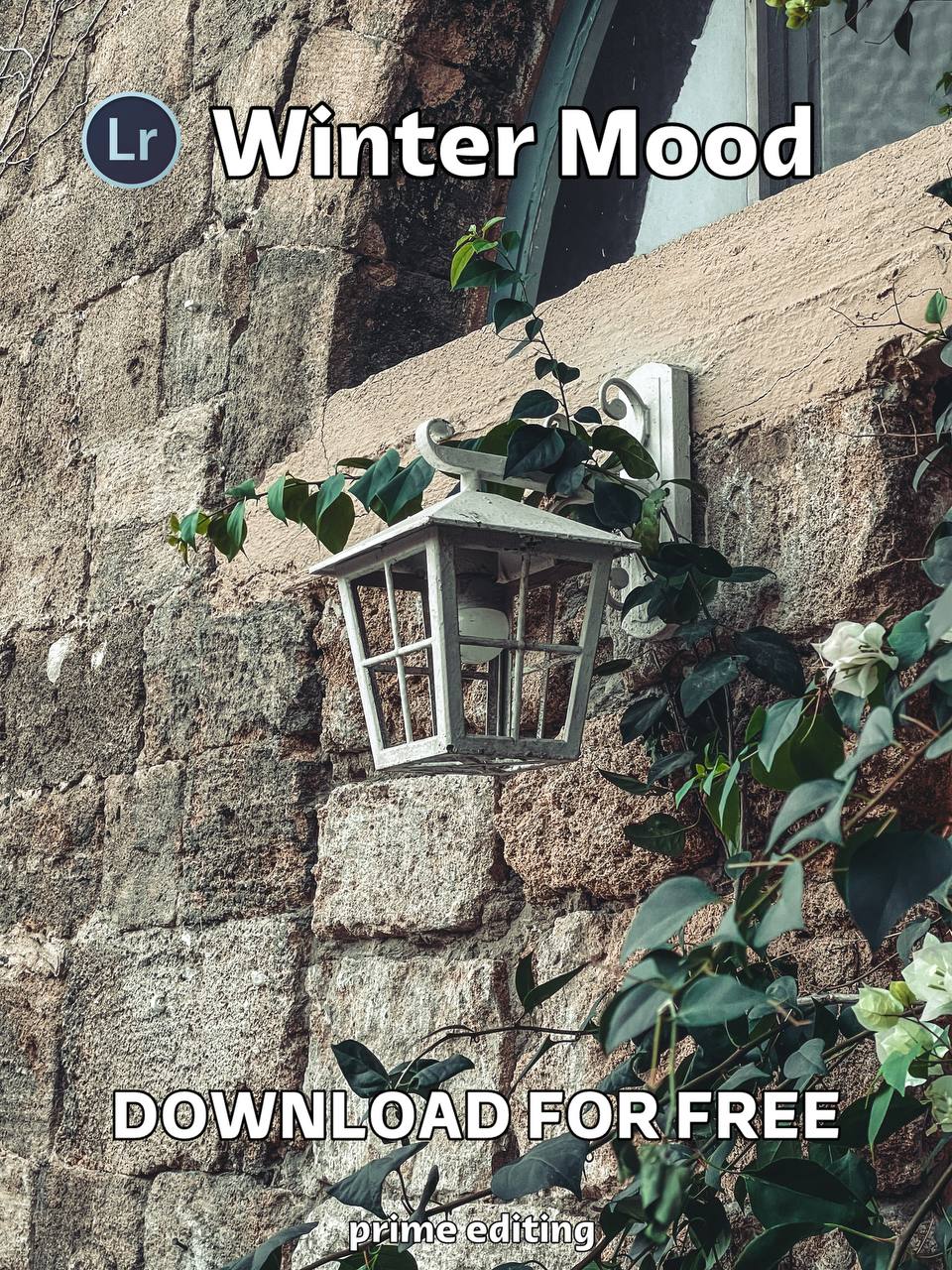 Winter Preset