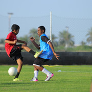 IMG 4278