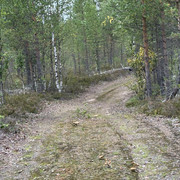 IMG 5772