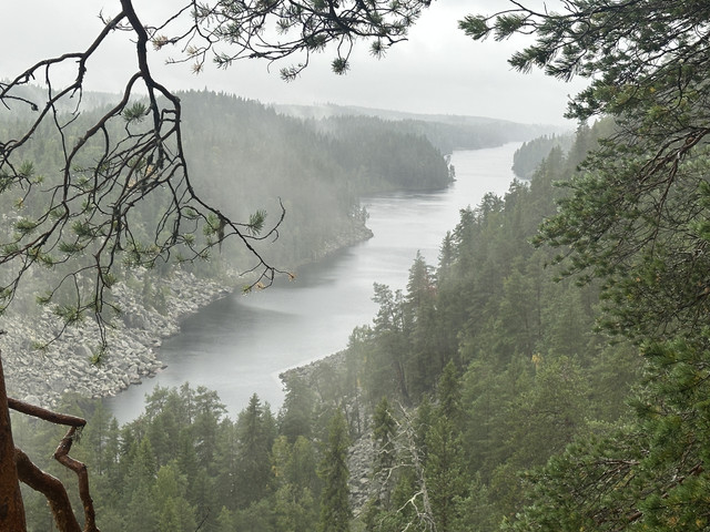 IMG 4887.jpg