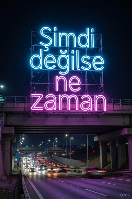 sdnz.jpg