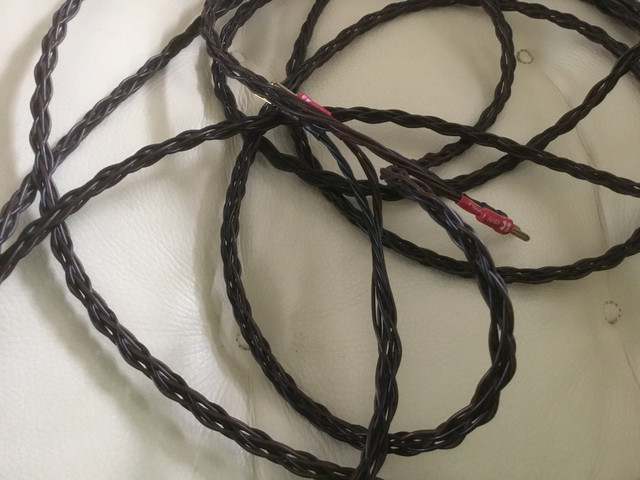 [Image: IMG-3514.jpg]