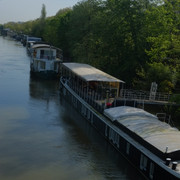 DSCF8986