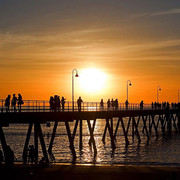 adelaide 1555188 0