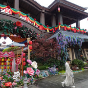 DSC09253