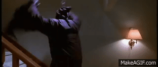 pqTCam.gif