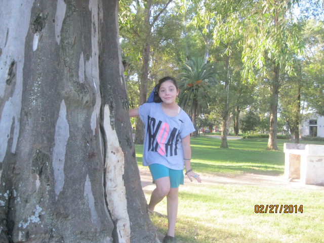 IMG 0452.jpg