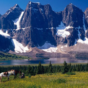 alberta-kanada