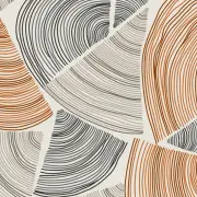 1077512 5 1024x1024