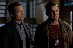 17.gif