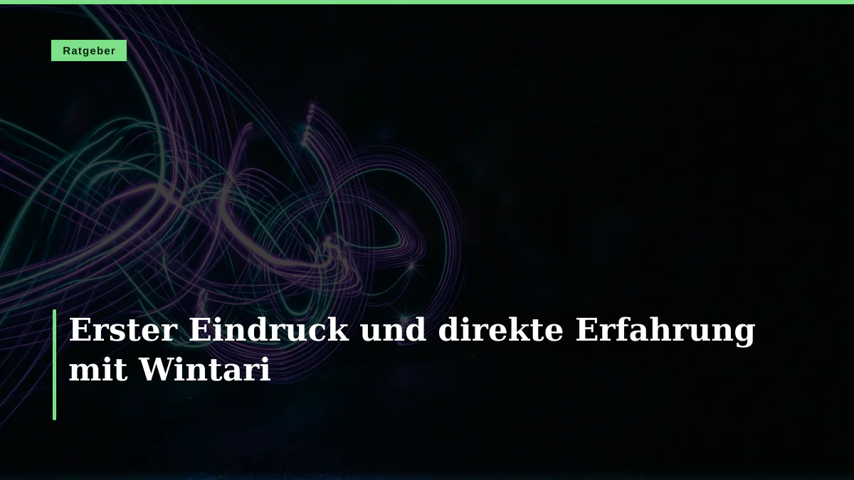 Erster Eindruck und direkte Erfahrung mit Wintari