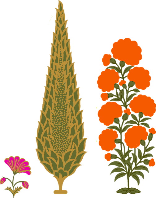 ebbffb81f6d128b37ab688422bb34dca.png