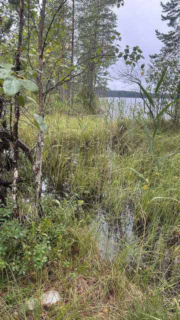 IMG 4649.jpg