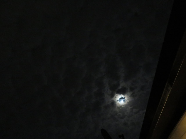 Pmoon-008.jpg