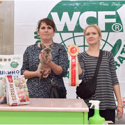 DSC-6426