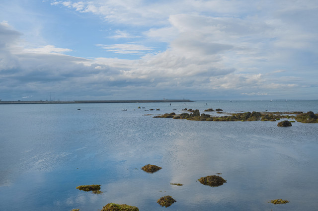 DSCF6981.jpg