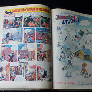 IMG-5761