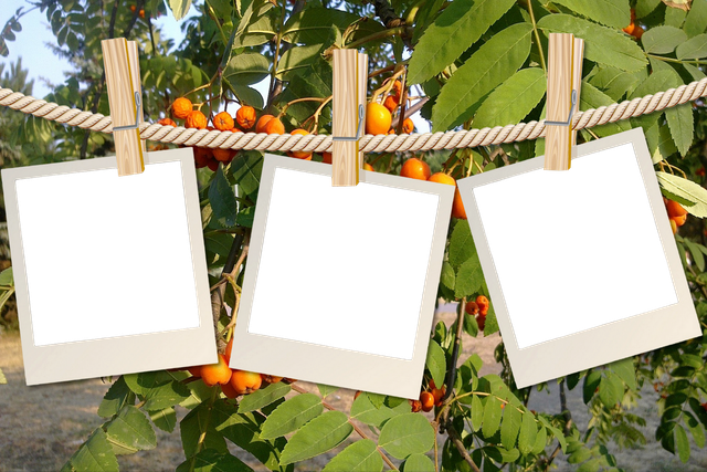 1305