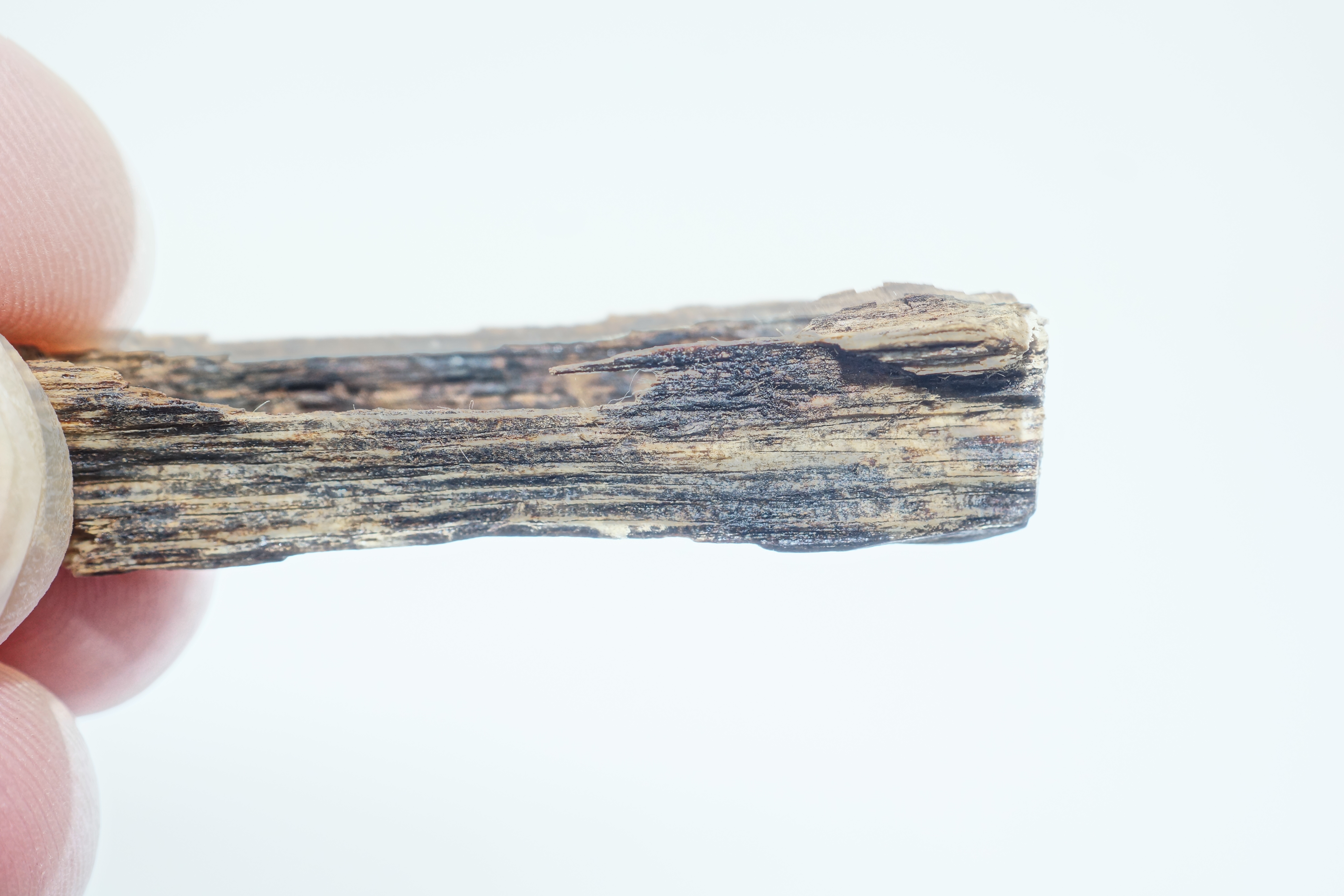 [Ouddict.com] Oud Photos
