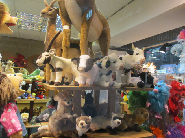 IMG-3193.jpg