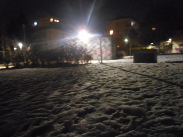 DSCN9464