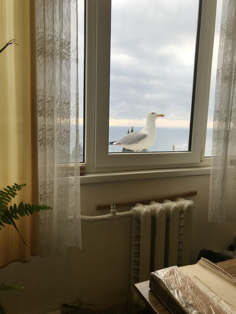 IMG-6955