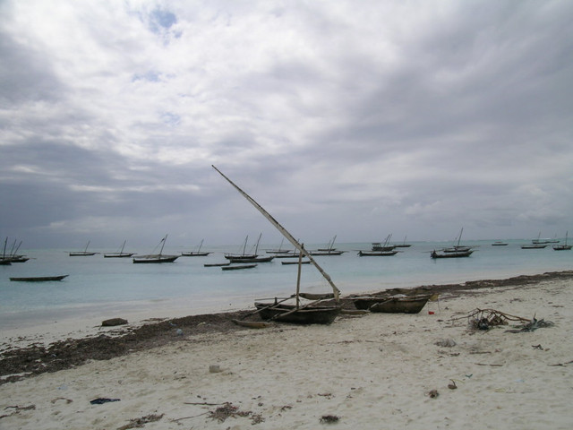 DSCN4793.jpg