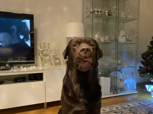 9912-E701-FDB2-4-EFE-B47-D-AE84-BB907771