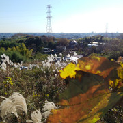 IMG-20221208-123747