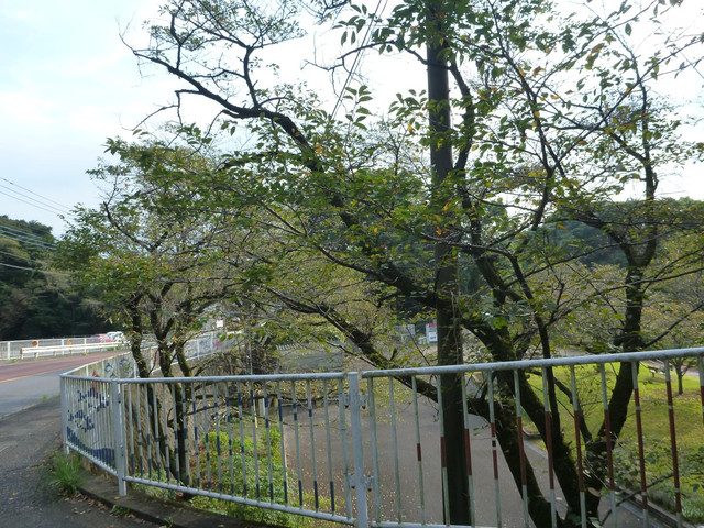 P1350112
