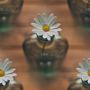 bd0f25a7e1b2