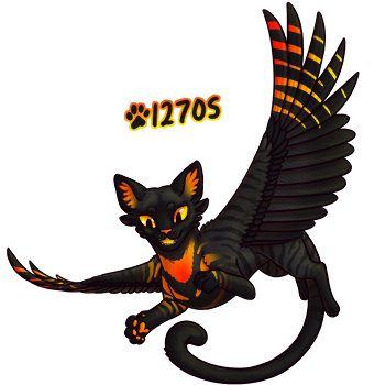 Pet Image
